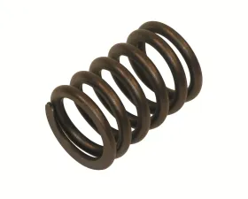 Melling Stock Replacement Valve Spring Intake