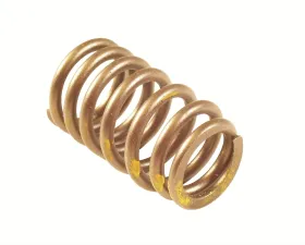 Melling Stock Replacement Valve Spring Intake