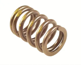 Melling Stock Replacement Valve Spring