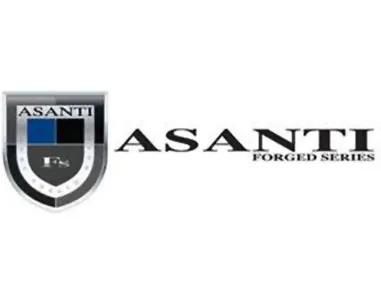 Asanti Wheels