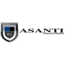 Asanti Wheels