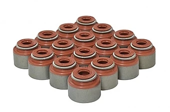 Valve Stem Seals