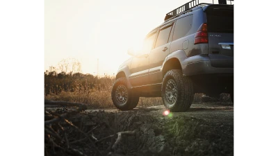 Gallery thumbnail