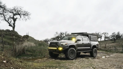 Gallery thumbnail