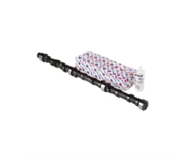 Melling Stock Replacement Camshaft Lifter Kit