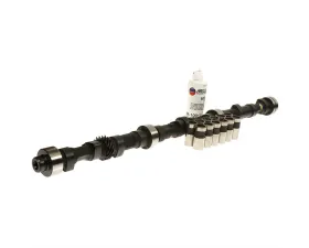 Melling Stock Replacement Camshaft Lifter Kit
