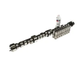 Melling Stock Replacement Camshaft Lifter Kit
