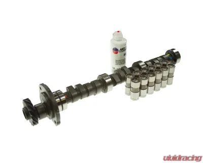 Melling RV Torque Camshaft Lifter Kit - CL-MTB-1