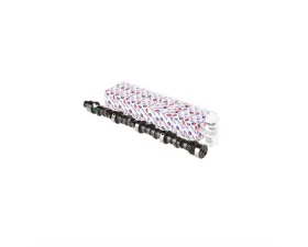 Melling RV Torque Camshaft Lifter Kit