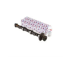 Melling Stock Replacement Camshaft Lifter Kit