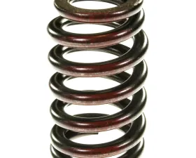 Melling Stock Replacement Valve Spring Intake