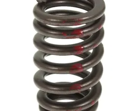 Melling Stock Replacement Valve Spring