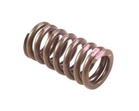 Melling Stock Replacement Valve Spring