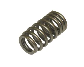 Melling Stock Replacement Valve Spring