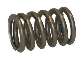 Melling Stock Replacement Valve Spring