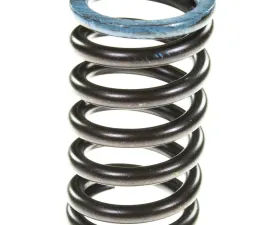 Melling Stock Replacement Valve Spring Intake