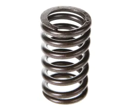 Melling Stock Replacement Valve Spring