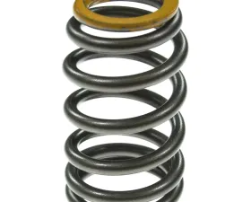 Melling Stock Replacement Valve Spring
