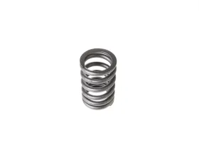 Melling Stock Replacement Valve Spring Intake