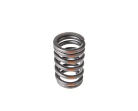 Melling Stock Replacement Valve Spring Intake