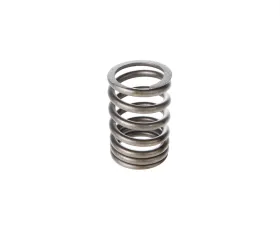 Melling Stock Replacement Valve Spring