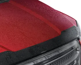 WeatherTech Low Profile Aerodynamic Hood Protector