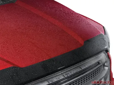 WeatherTech Low Profile Aerodynamic Hood Protector - 55220