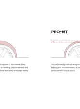 Eibach Pro Kit Performance Springs Set of 4 BMW 330i | M340i G20 2019-2024                                     - E10-20-045-02-22 - Image 2