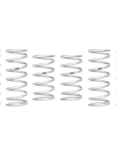Eibach Pro UTV Stage 2 Performance Spring System Set Of 8 Polaris RZR Turbo R 4 Sport Premium | Walker Evans 2022                                     - E85-209-029-02-22 - Image 2