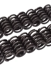 Edelbrock Valve Springs E-Street Heads Set of 16                                     - 5824 - Image 6