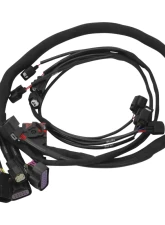 Edelbrock Pro-Flo 4+ #36110 EFI engine management for 2011-14 Ford Coyote Engine Swap                                     - 36110 - Image 6