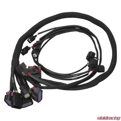 Edelbrock Pro-Flo 4+ #36110 EFI engine management for 2011-14 Ford Coyote Engine Swap - 36110