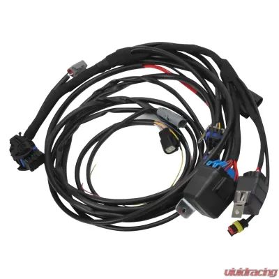 Edelbrock Pro-Flo 4+ #36110 EFI engine management for 2011-14 Ford Coyote Engine Swap - 36110