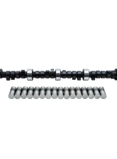 Edelbrock Engine Camshaft and Lifter Kit                                     - 5002 - Image 4