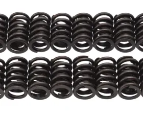 Edelbrock Valve Springs E-Street Heads Set of 16