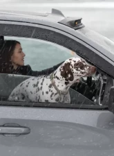 AVS Ventvisor Low Profile 4pc Smoke Chevrolet Silverado 1500 Crew Cab Pickup 2019+                                     - 894075 - Image 11