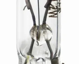 HELLA 2721TB Standard Series Incandescent Miniature Light Bulb