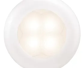 Hella Courtesy Light