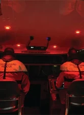 Hella Courtesy Light                                     - 980502221 - Image 19