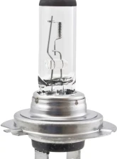 HELLA H7 100W High Wattage Series Halogen Light Bulb                                     - H7 100W - Image 20