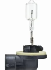 HELLA 894 Standard Series Halogen Light Bulb                                     - 894 - Image 2