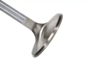 Manley Valve - Exhaust, Valve-BBC E/D 1.900