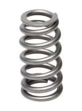 Manley Valve Springs Kit Set of 16 Ford | Mazda                                     - 22200-16 - Image 4