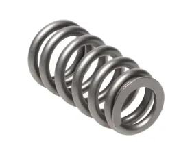 Manley Valve Springs Kit Set of 16 Ford | Mazda