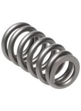 Manley Valve Springs Kit Set of 16 Ford | Mazda                                     - 22200-16 - Image 6