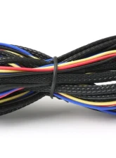 GFB G-Force | D-Force Wiring Loom                                     - 3855 - Image 5