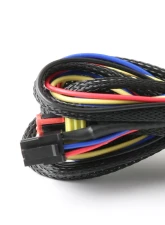 GFB G-Force | D-Force Wiring Loom                                     - 3855 - Image 3