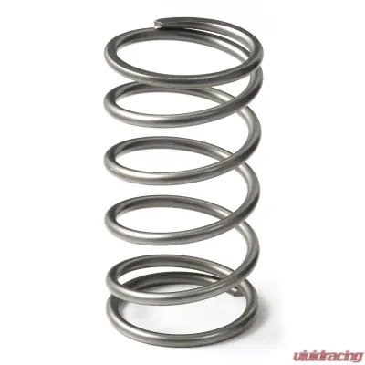 GFB EX50 13psi Wastegate Spring (Outer) - 7113