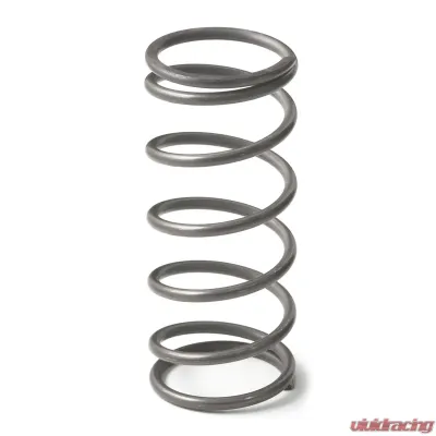 GFB EX50 9psi Wastegate Spring (Middle) - 7109