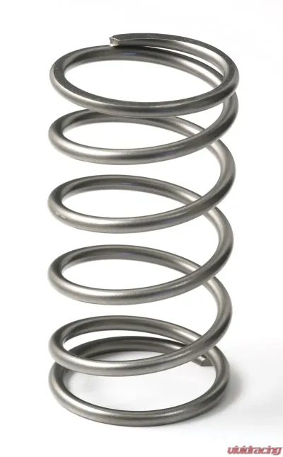 GFB EX50 13psi Wastegate Spring (Outer) - 7113